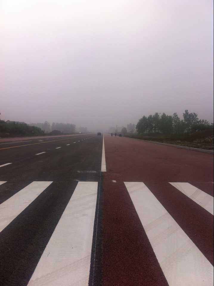 金湖縣城南干道(人民南路-黎農(nóng)河)道路、排水及污水管道工程